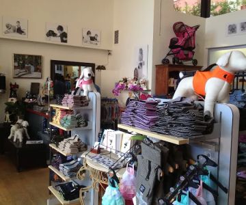 YAP Stores