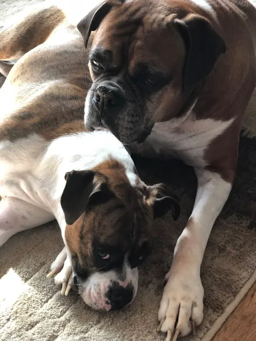 Two Rivers Animal Hospital 12