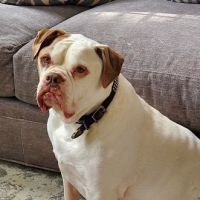 Parker Creek Veterinary Hospital ico