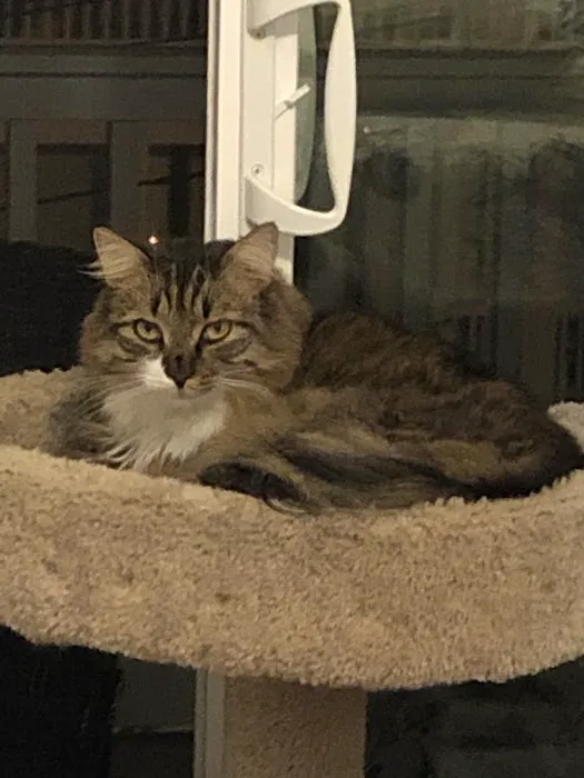 Parker Creek Veterinary Hospital 12