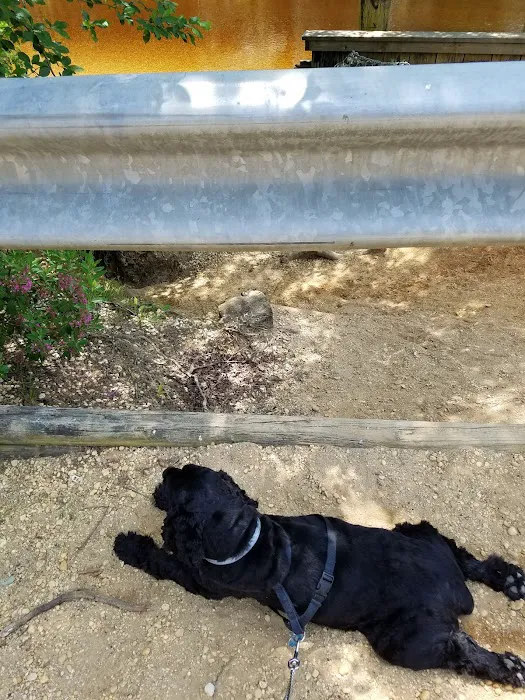 Parker Creek Veterinary Hospital 12