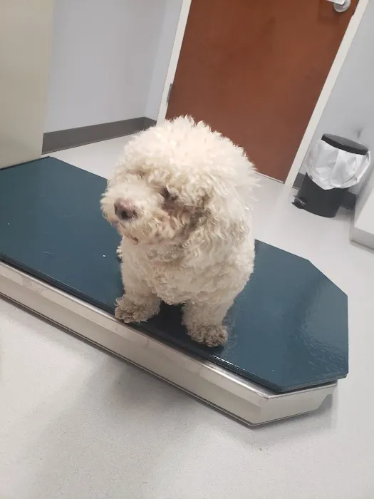 Parker Creek Veterinary Hospital 12