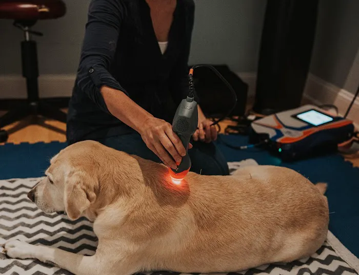 Copper Moon Veterinary Wellness 12