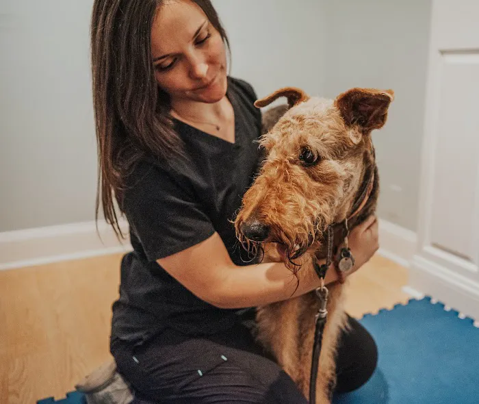 Copper Moon Veterinary Wellness 12