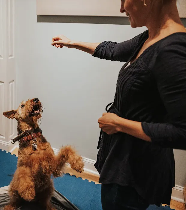 Copper Moon Veterinary Wellness 12
