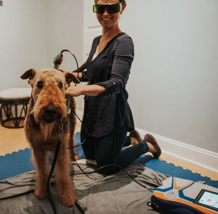 Copper Moon Veterinary Wellness 12