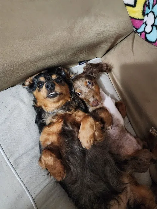 Banfield Pet Hospital 12