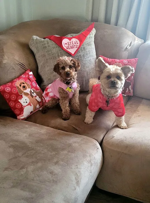 Banfield Pet Hospital 12