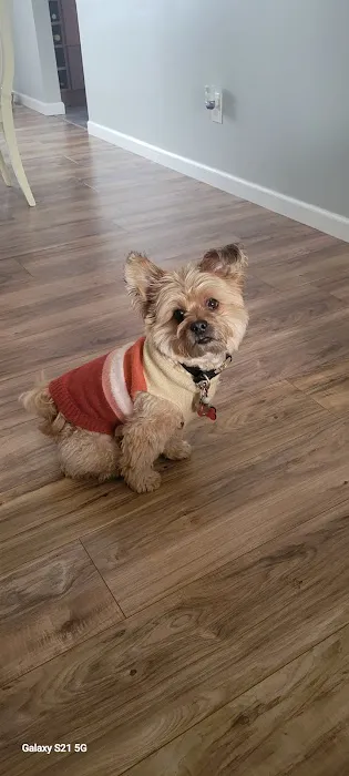 Banfield Pet Hospital 12