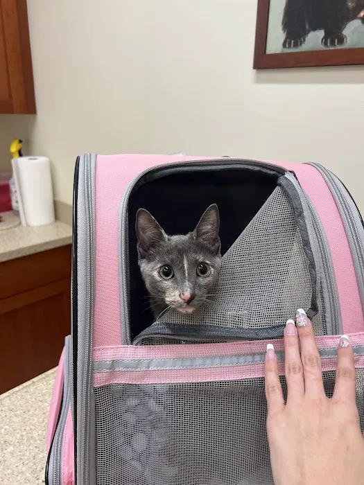 Banfield Pet Hospital 12