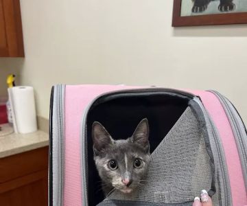 Banfield Pet Hospital