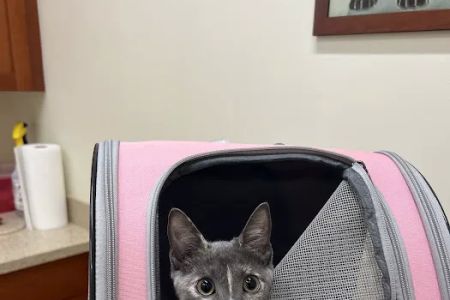 Banfield Pet Hospital