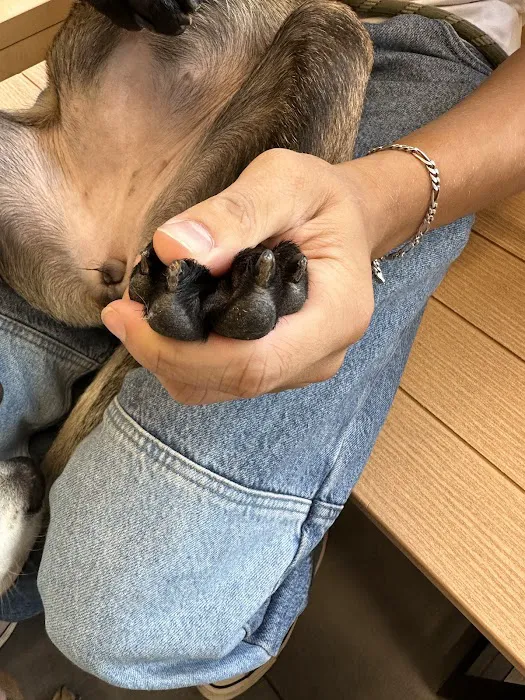 Banfield Pet Hospital 12