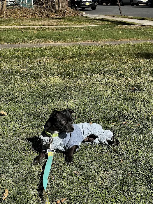 Banfield Pet Hospital 12
