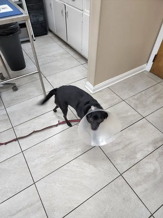 Metuchen Veterinary Hospital 12