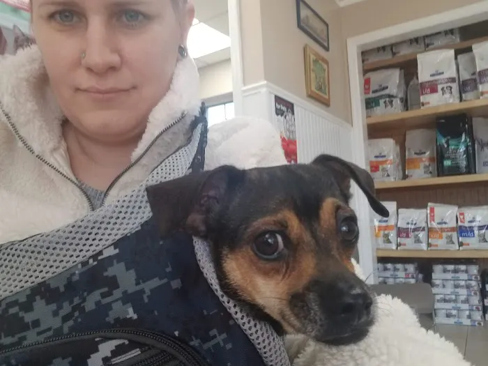 Metuchen Veterinary Hospital 12