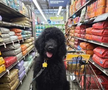 Petco