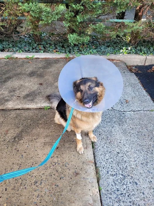Amboy Avenue Animal Hospital 12