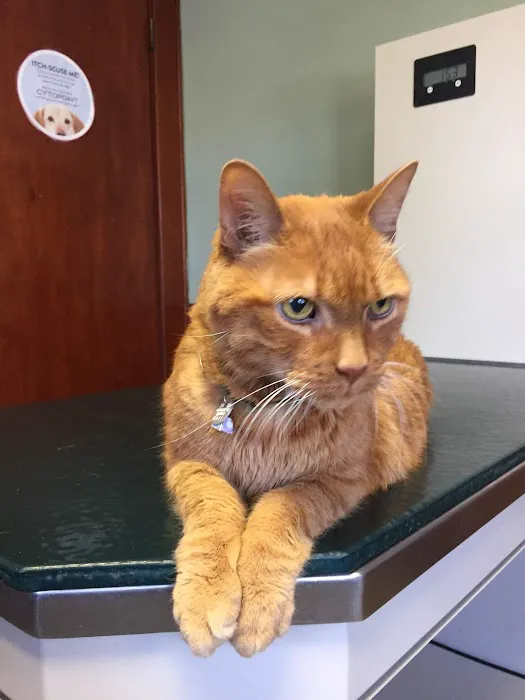 Oak Tree Animal Clinic 12