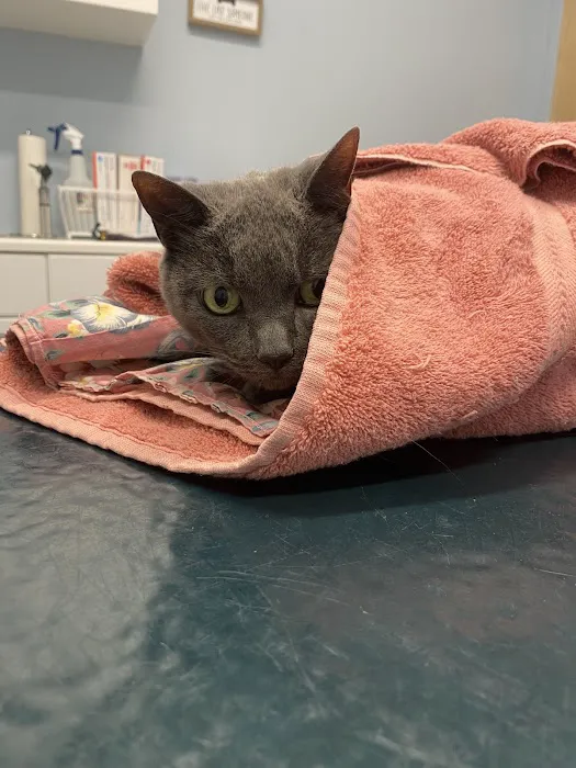 Oak Tree Animal Clinic 12