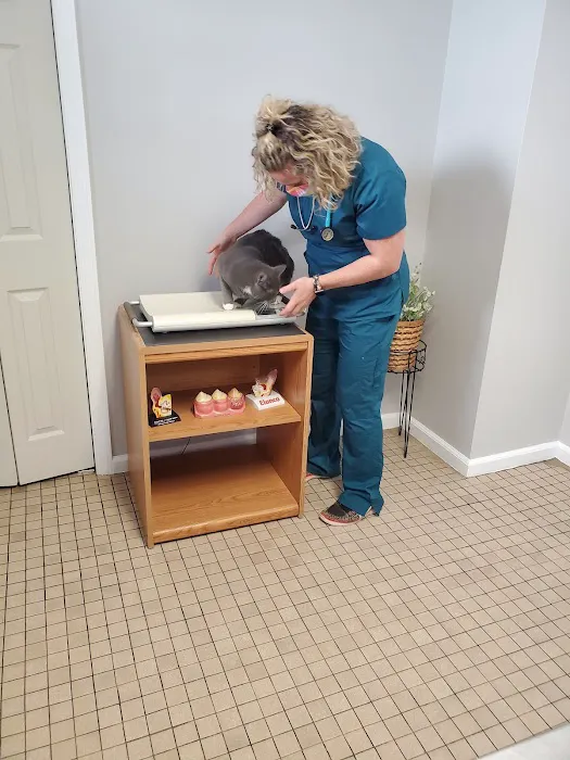 Hopelawn Animal Clinic 6