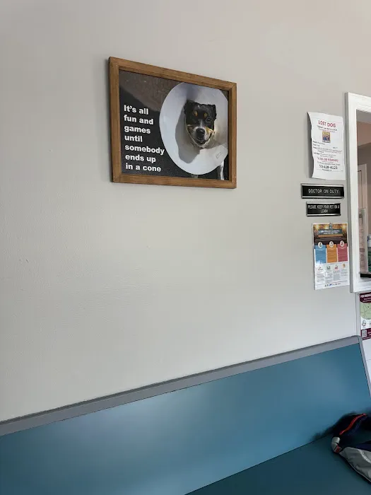Hopelawn Animal Clinic 5