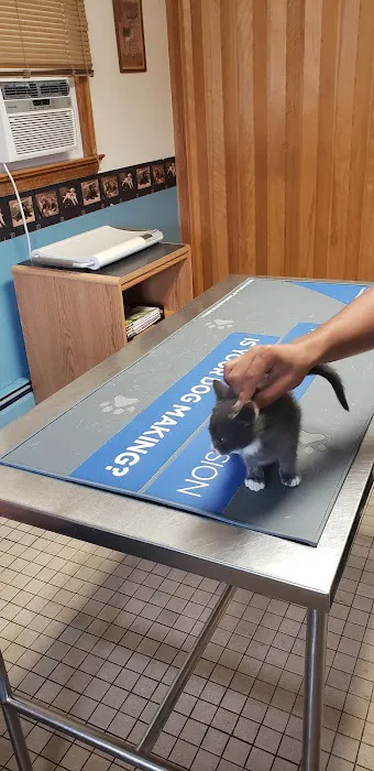 Hopelawn Animal Clinic 9
