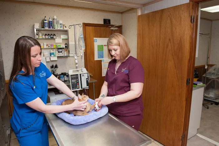 Animal Hospital of Sayreville 12