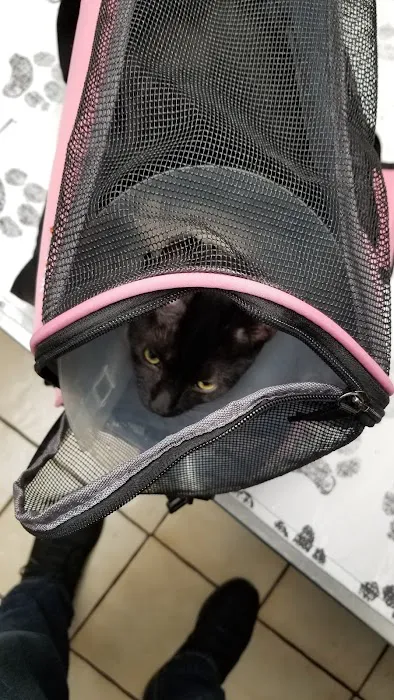 Animal Hospital of Sayreville 12