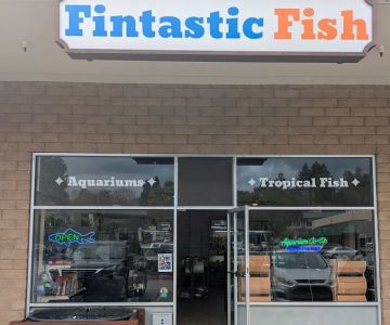 Fintastic Fish