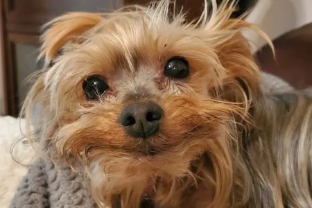 Sayrebrook Veterinary Hospital