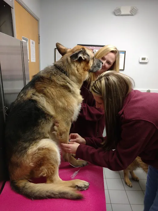 Sayrebrook Veterinary Hospital 12