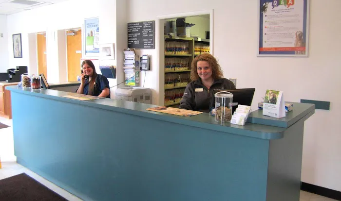 VCA Iselin Animal Hospital 12