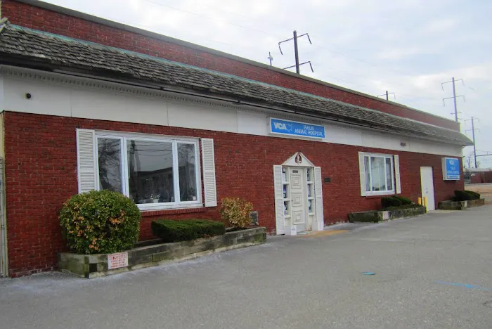 VCA Iselin Animal Hospital 12