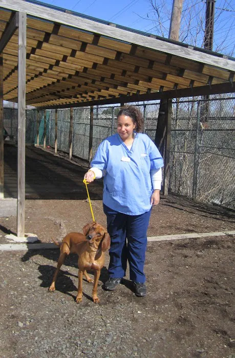 VCA Iselin Animal Hospital 12