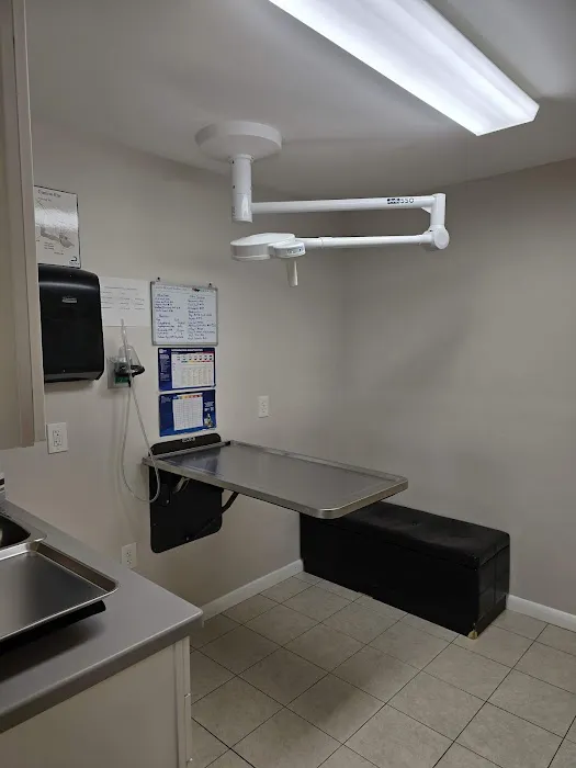 Animal Hospital Of Perth Amboy 12