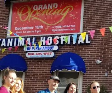 Animal Hospital Of Perth Amboy
