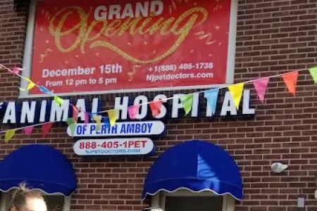 Animal Hospital Of Perth Amboy