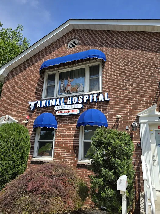 Animal Hospital Of Perth Amboy 12