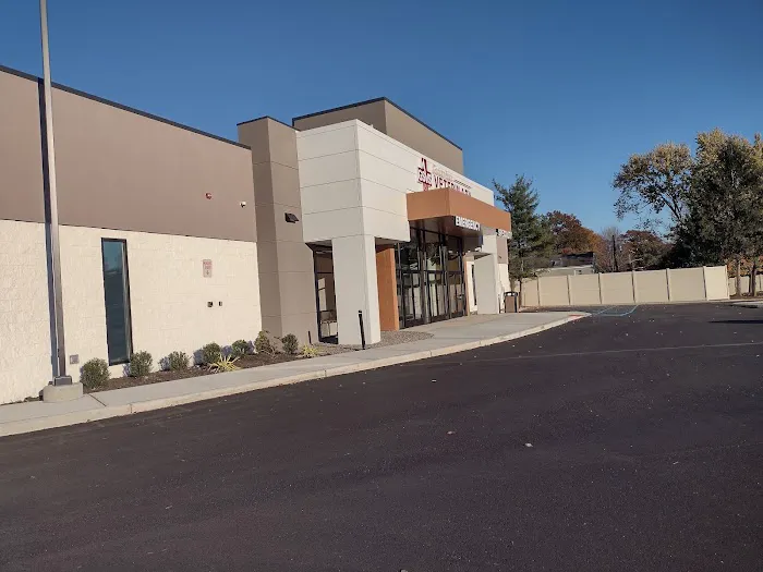 Animal Dermatology Clinic 12