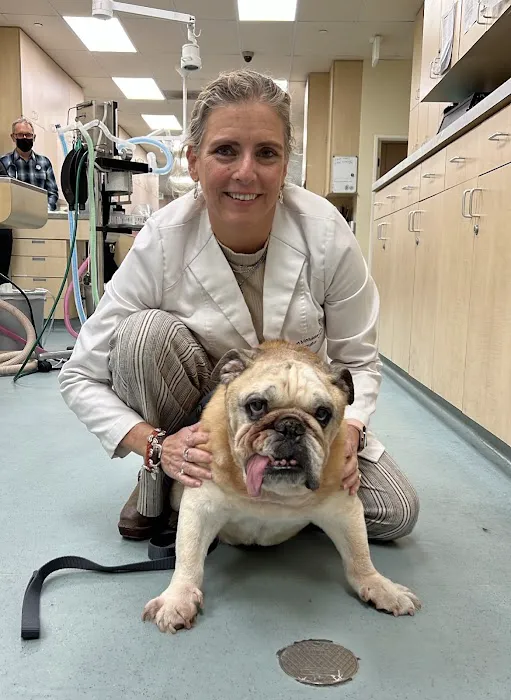 Animal Dermatology Clinic 12
