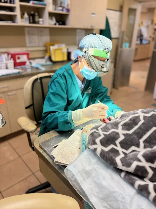 Plainfield Animal Hospital 12