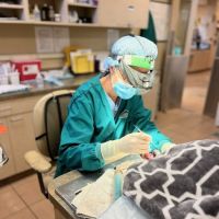 Plainfield Animal Hospital ico