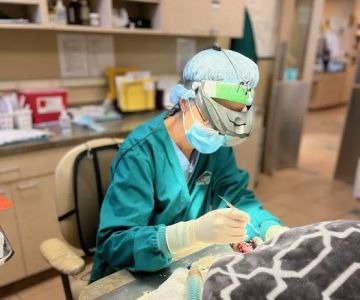 Plainfield Animal Hospital