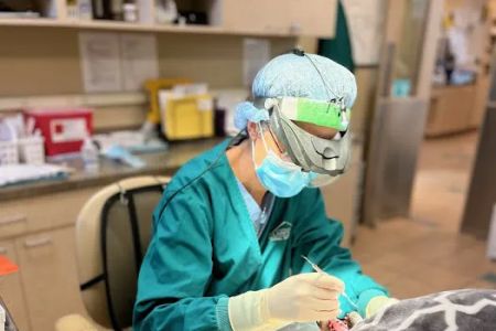 Plainfield Animal Hospital
