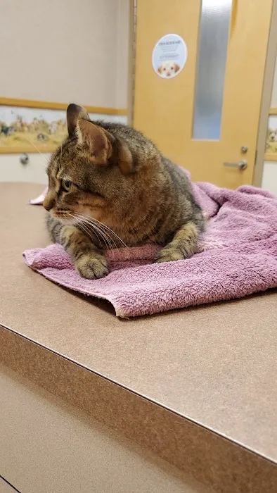 Plainfield Animal Hospital 12