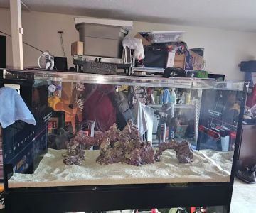 Reef Racket LLC