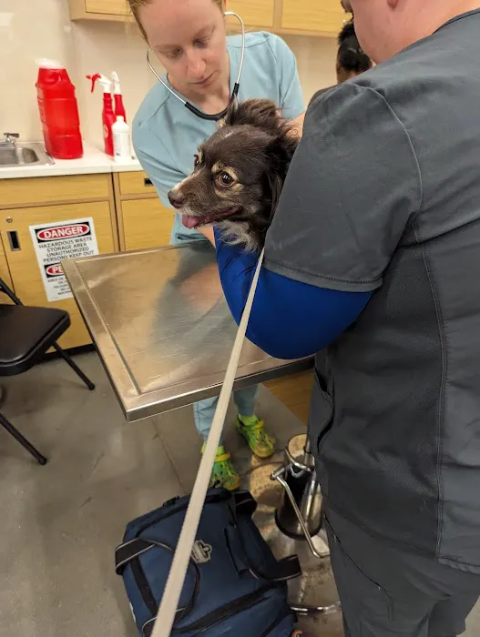 Vetco Vaccination Clinic 12