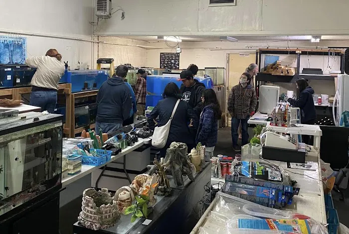 JJ Aquarium 4