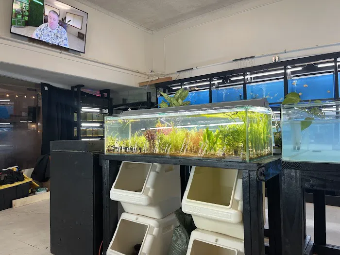 JJ Aquarium 9